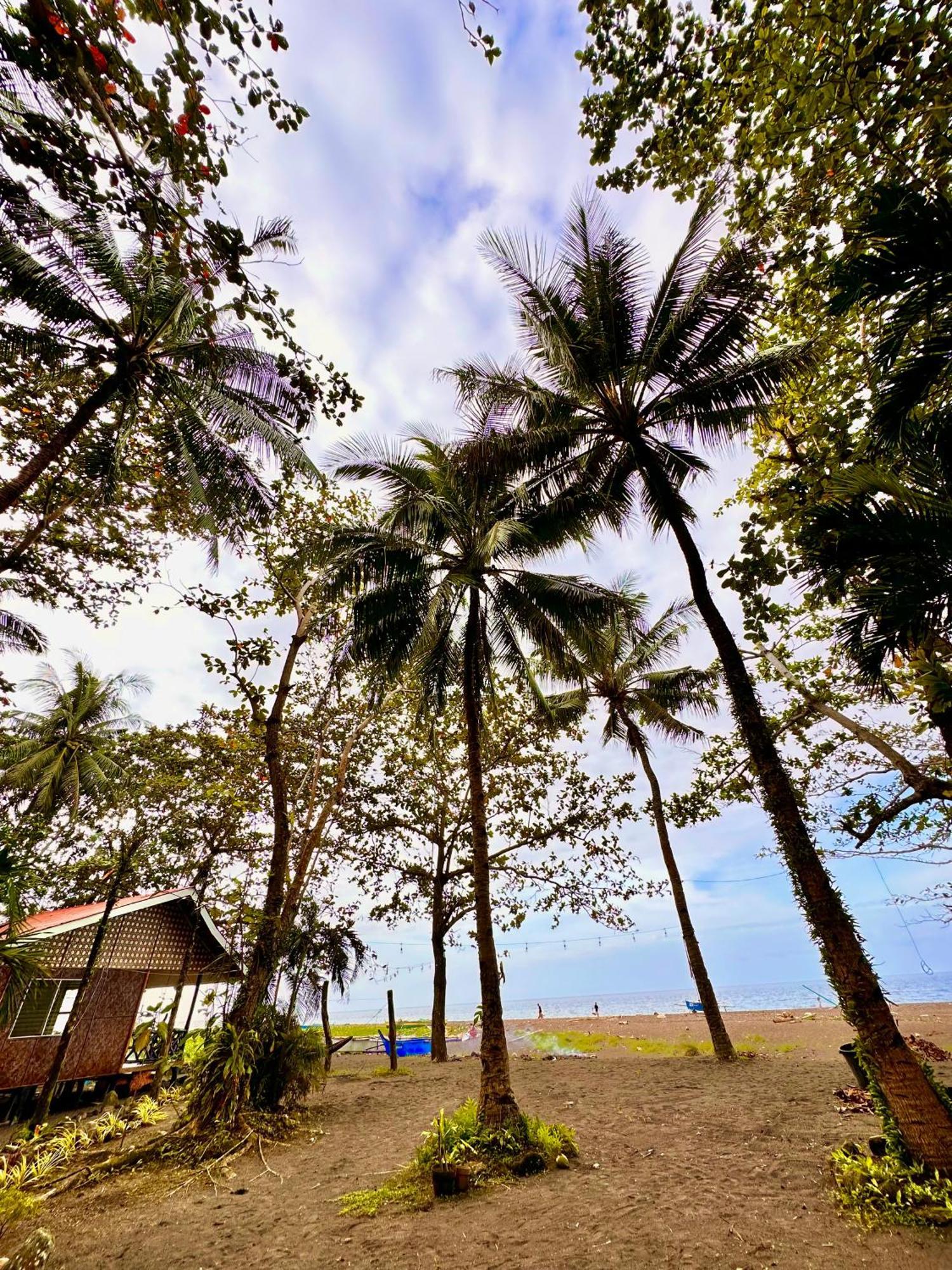 Playa Del Fuego Camiguin Beach Hostel & Resort มัมบาเฮา ภายนอก รูปภาพ