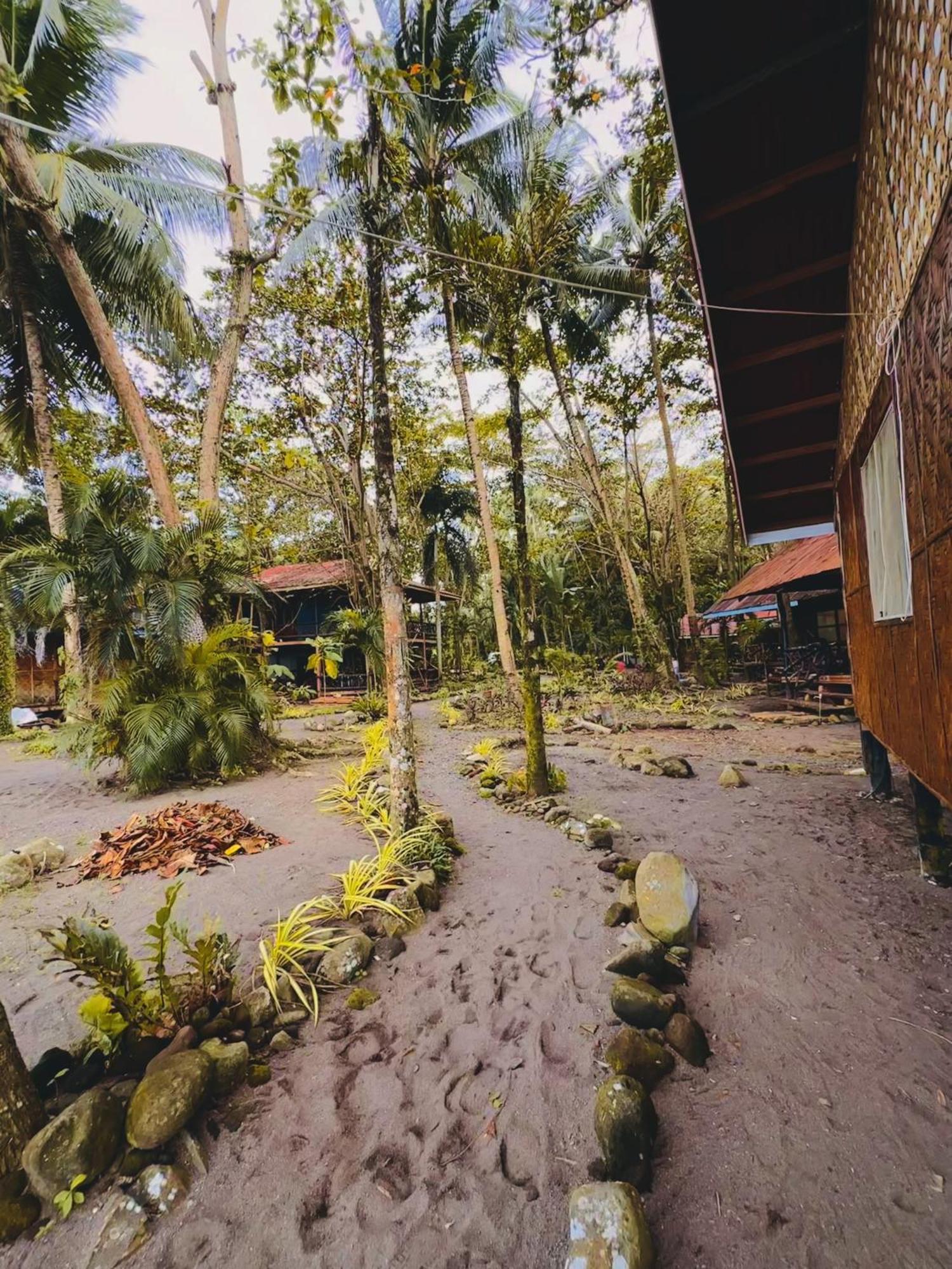 Playa Del Fuego Camiguin Beach Hostel & Resort มัมบาเฮา ภายนอก รูปภาพ